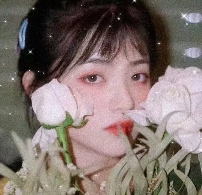 虫样年华